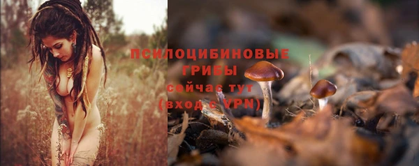 эйфоретик Белокуриха