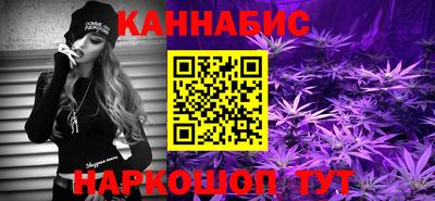 шишки Изобильный