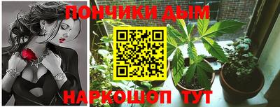 шишки Изобильный