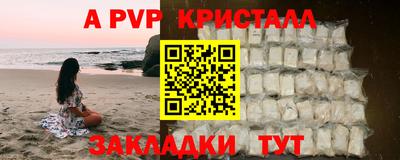 шишки Изобильный
