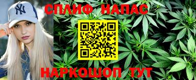 шишки Изобильный