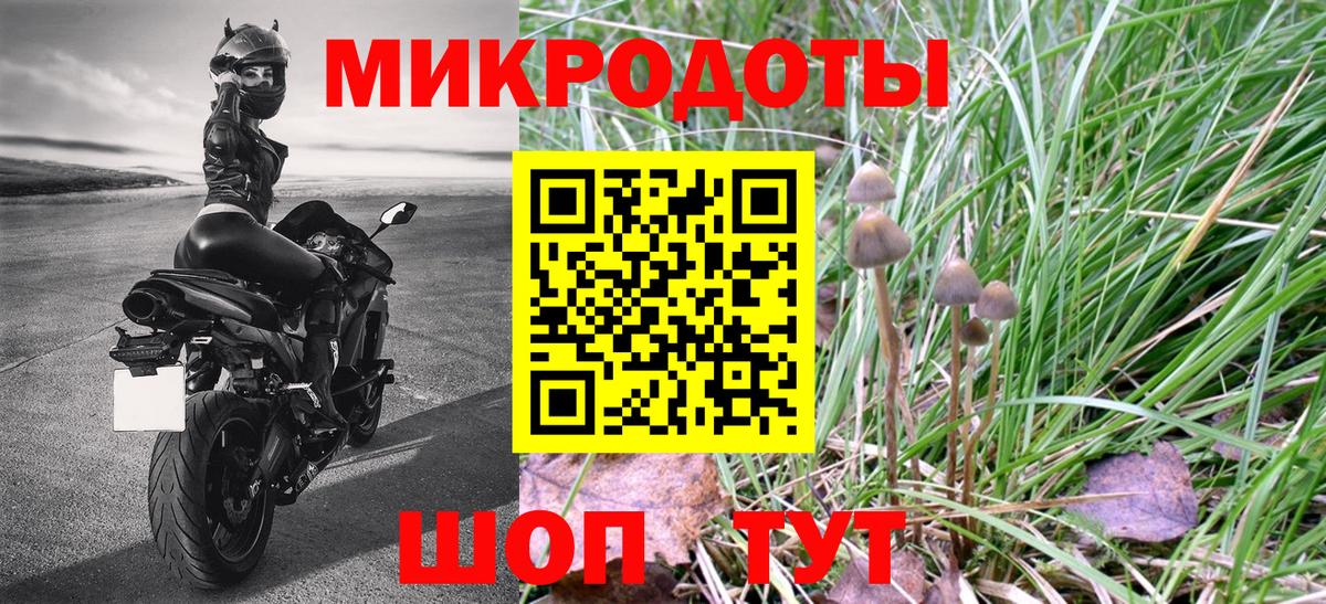 Псилоцибиновые грибы Psilocybe  Галлюциногенные грибы прущие грибы  Вход с VPN  хочу наркоту  Бутурлиновка 